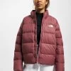 The North Face Damen Winterjacke Hyalite Down In Rot